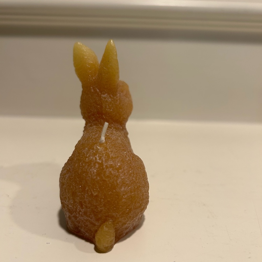Illuminations Honey Bunny Candle Set - Picture 8 of 13